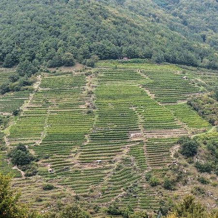 Weingut Piewald Gut am Steg Exterior foto