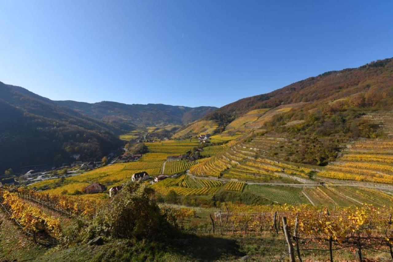 Weingut Piewald Gut am Steg Exterior foto